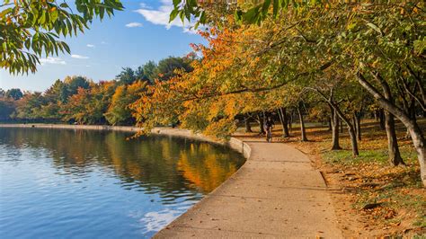 Top Hotels Closest to Tidal Basin in Southwest .